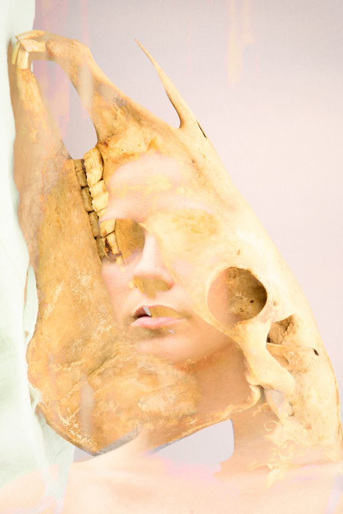 Horse skull, nose and lips in warm tones. Obscured Light Series, experimental portrait photography by Ella Sophie.